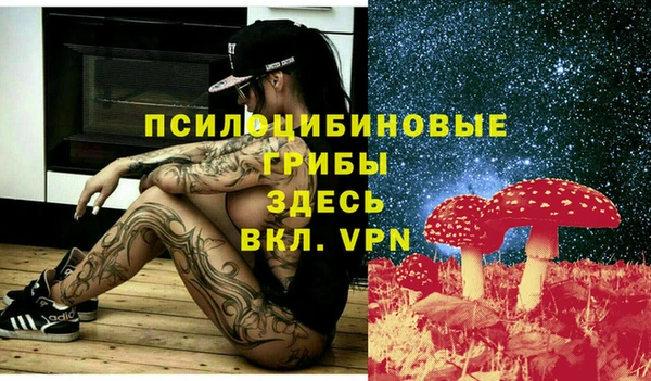 ешки Алексеевка